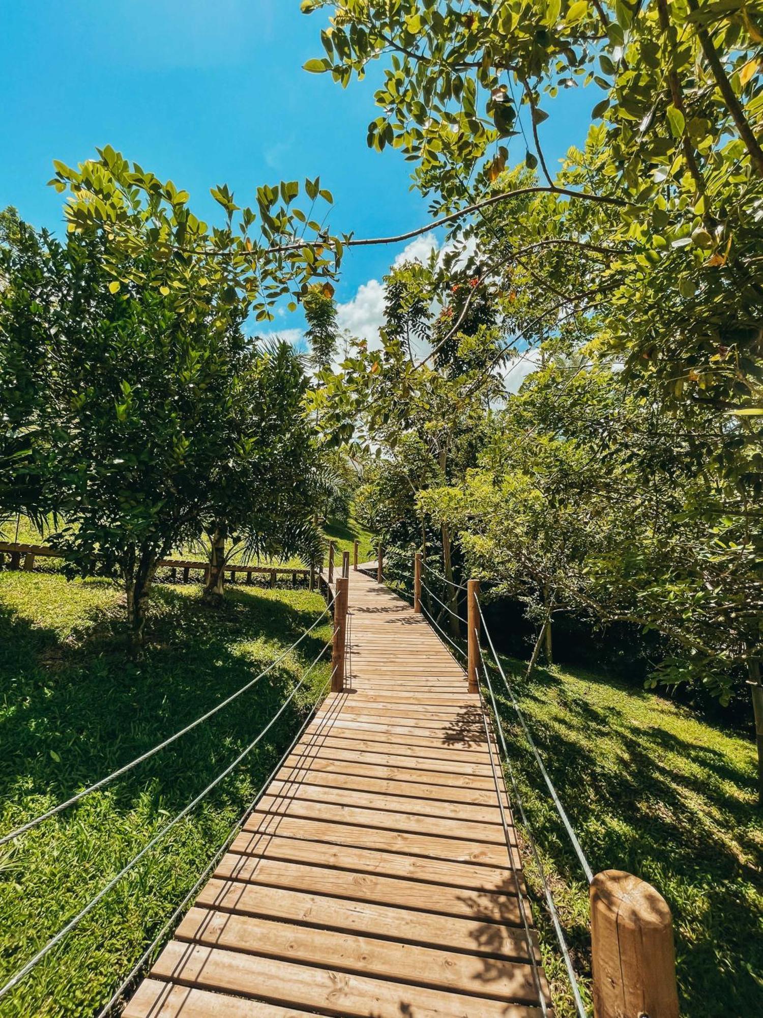 Glamping Entre Rios Hotel Calarcá Kültér fotó