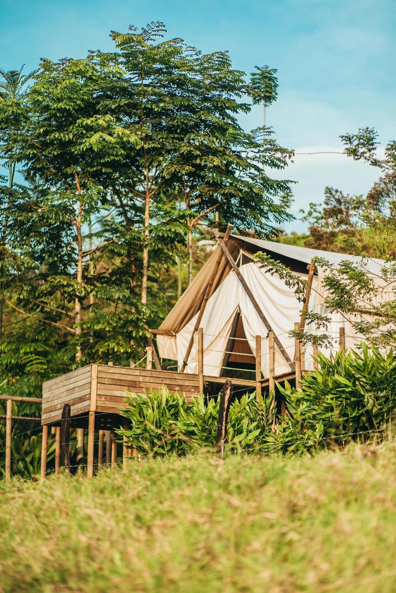 Glamping Entre Rios Hotel Calarcá Kültér fotó